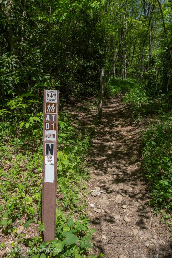 Albert Mountain via Mooney Gap. 
From Mooney Gap, you'll be walking northbound on the Appalachian Trail.