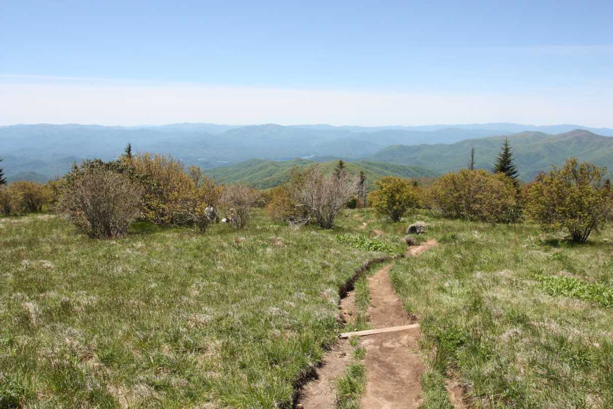 The trail continuing past the bald.
