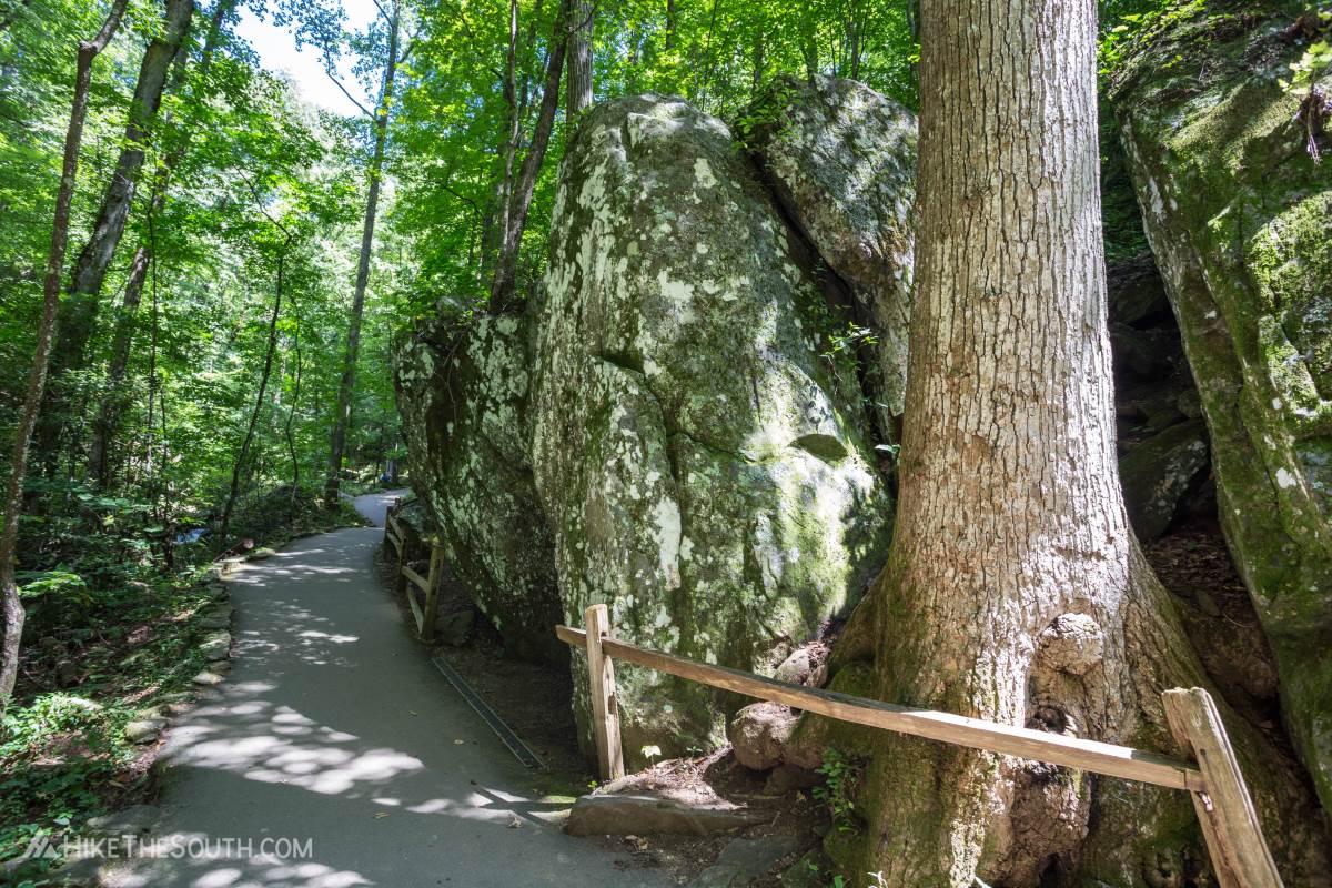 Anna Ruby Falls. 
Large boulders along the trail.