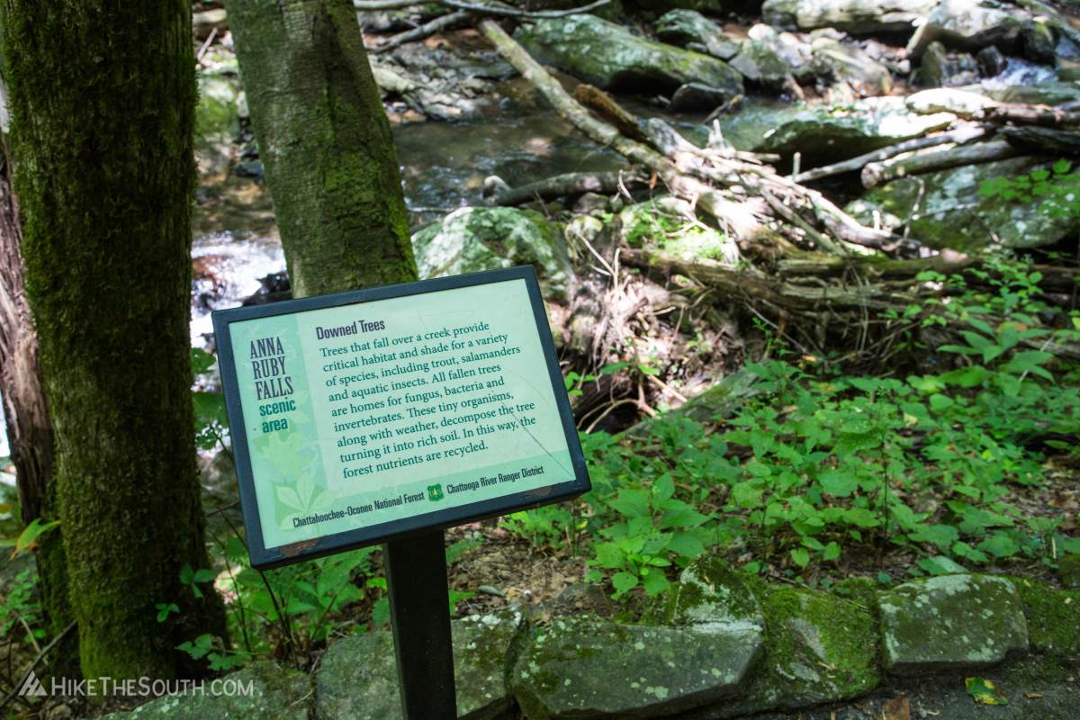 Anna Ruby Falls. 
Information signs line the path to add additional interest.