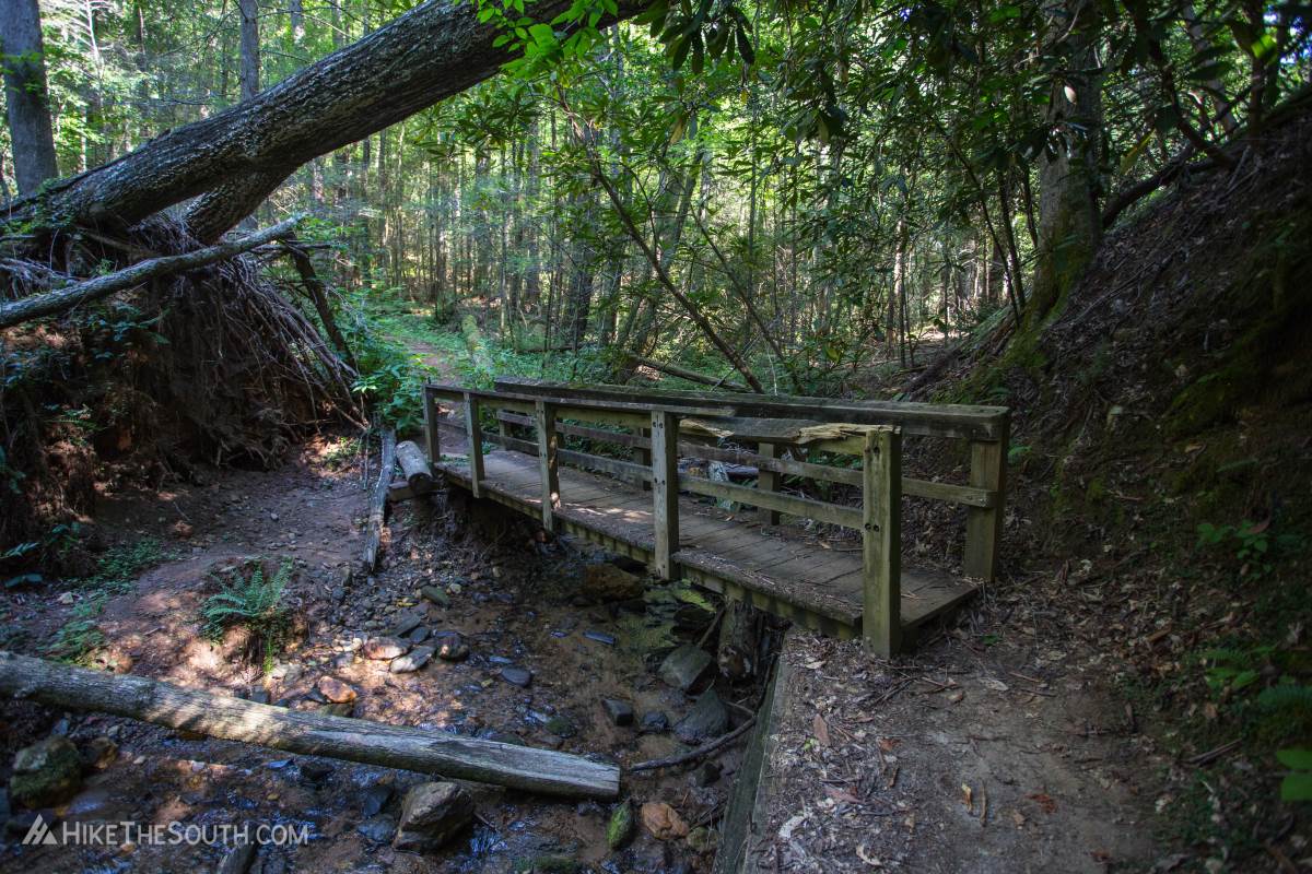 Anna Ruby Falls via the Smith Creek Trail. 
Several footbridges help you cross the creek.