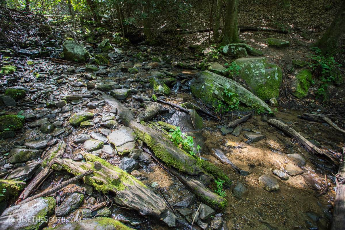 Anna Ruby Falls via the Smith Creek Trail. 
This is the one larger creek crossing. Just be careful of slippery rocks.