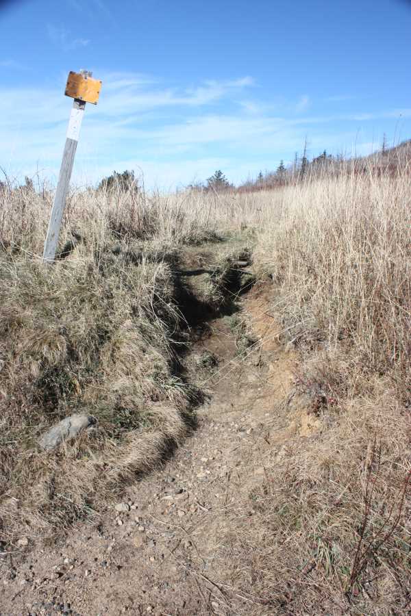 Immediately after leaving Investor Gap, look to the left for a narrow trail. This is the Art Loeb Trail. There should be a wooden post marker and a pipe going through the path. This is the exception where what would look like a side trail off of the main path is actually the correct path.