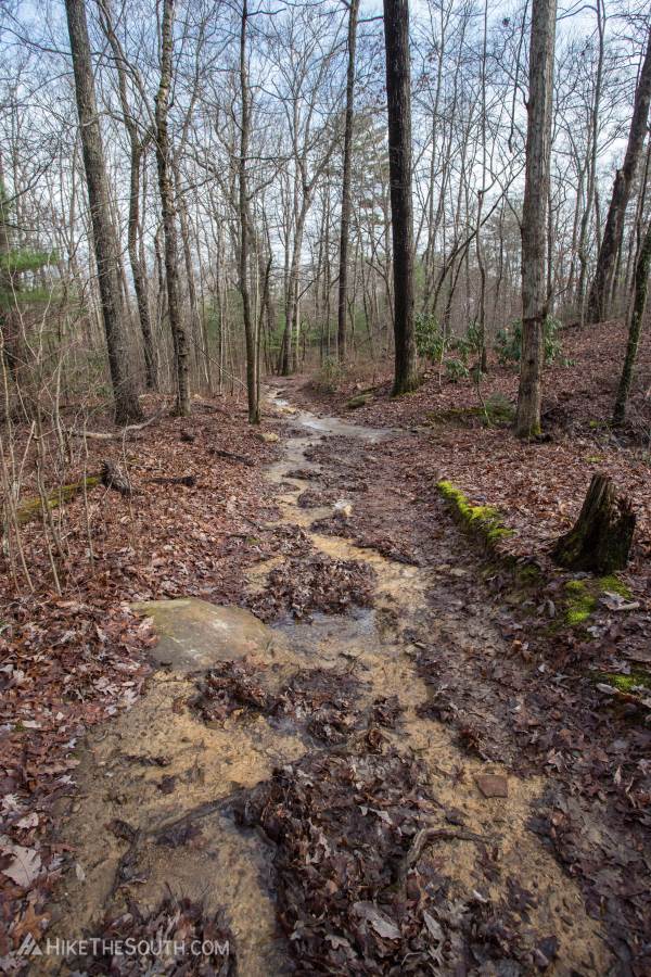 Benton Falls Trail. 
If it has rained recently, the trail is very muddy and some sections you might as well be walking in a shallow creek.