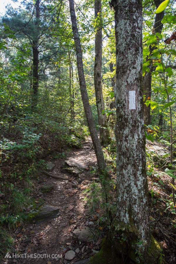 Blood Mountain via Bear Hair Gap Trail. 
Connect to the Appalachian Trail to summit Blood Mountain.