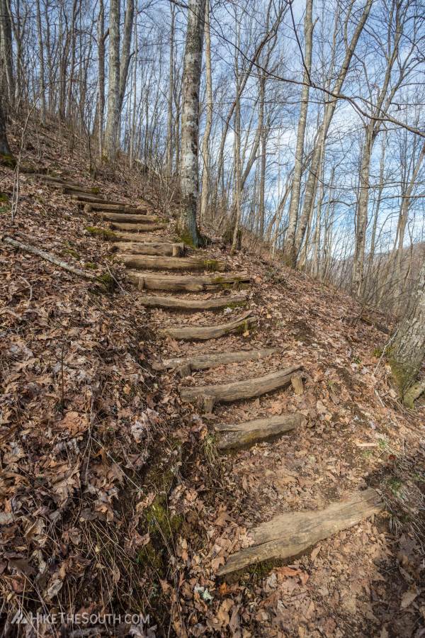 Cheoah Bald via Stecoah Gap. 
Several sections of steps get you up steep hills.