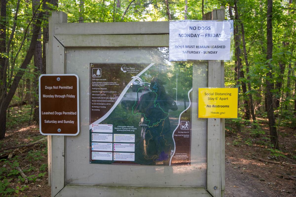 Chicopee Woods Bridge Loop. 
Map and information at the trailhead at the end of the parking area.
