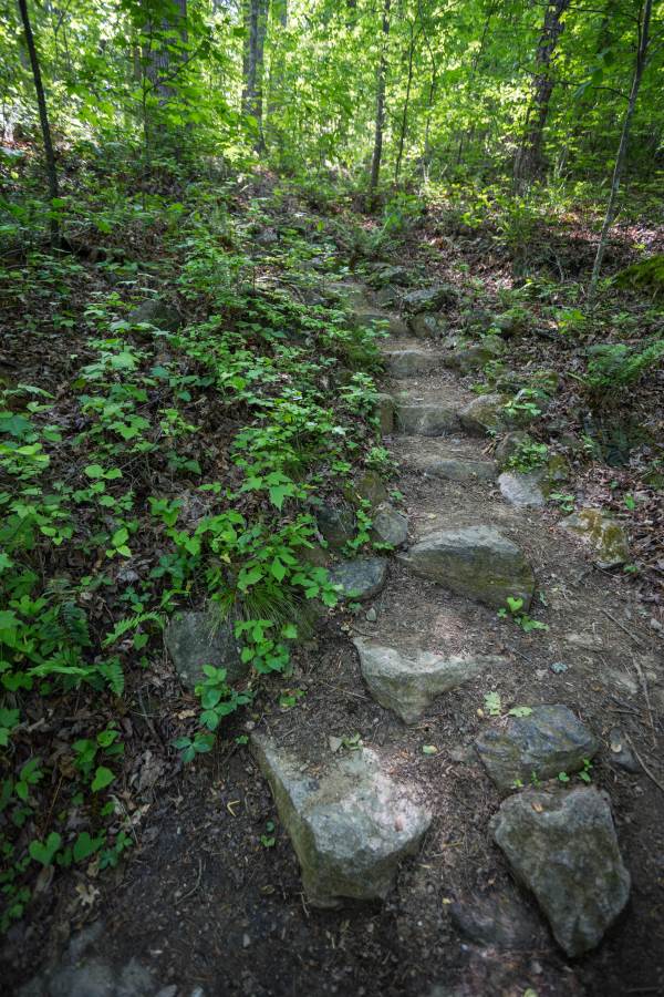 Chicopee Woods Lake Loop. 
Stone steps leading up a slight hill.