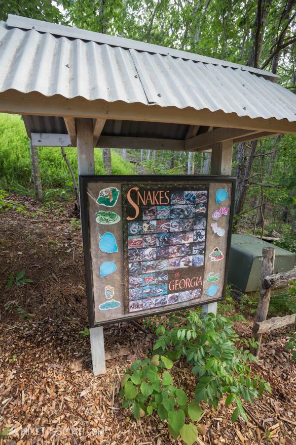 Chicopee Woods Trail System. 
The Science Center has plenty of information around. Unfortunately, it is currently (May 2020) closed to visitors with no set date to reopen.