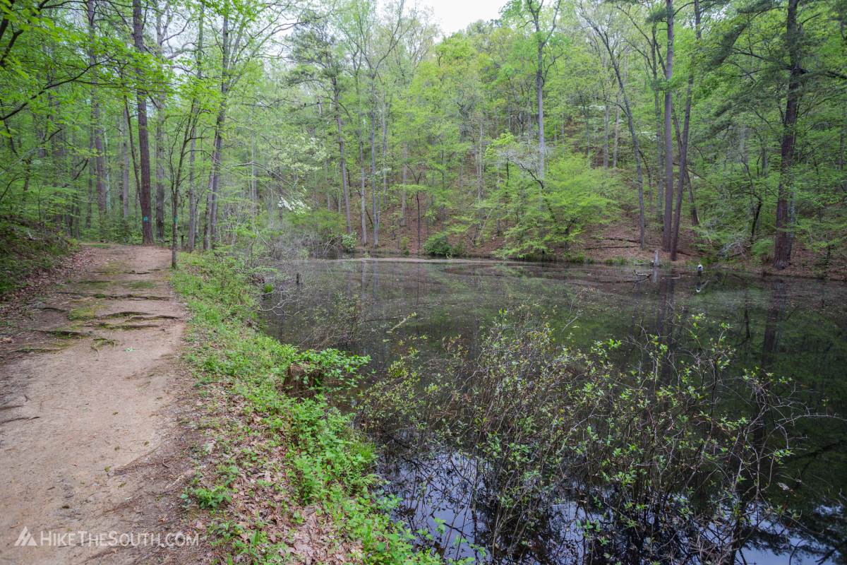 Cooper's Furnace Trail System. 
Beaver Pond.