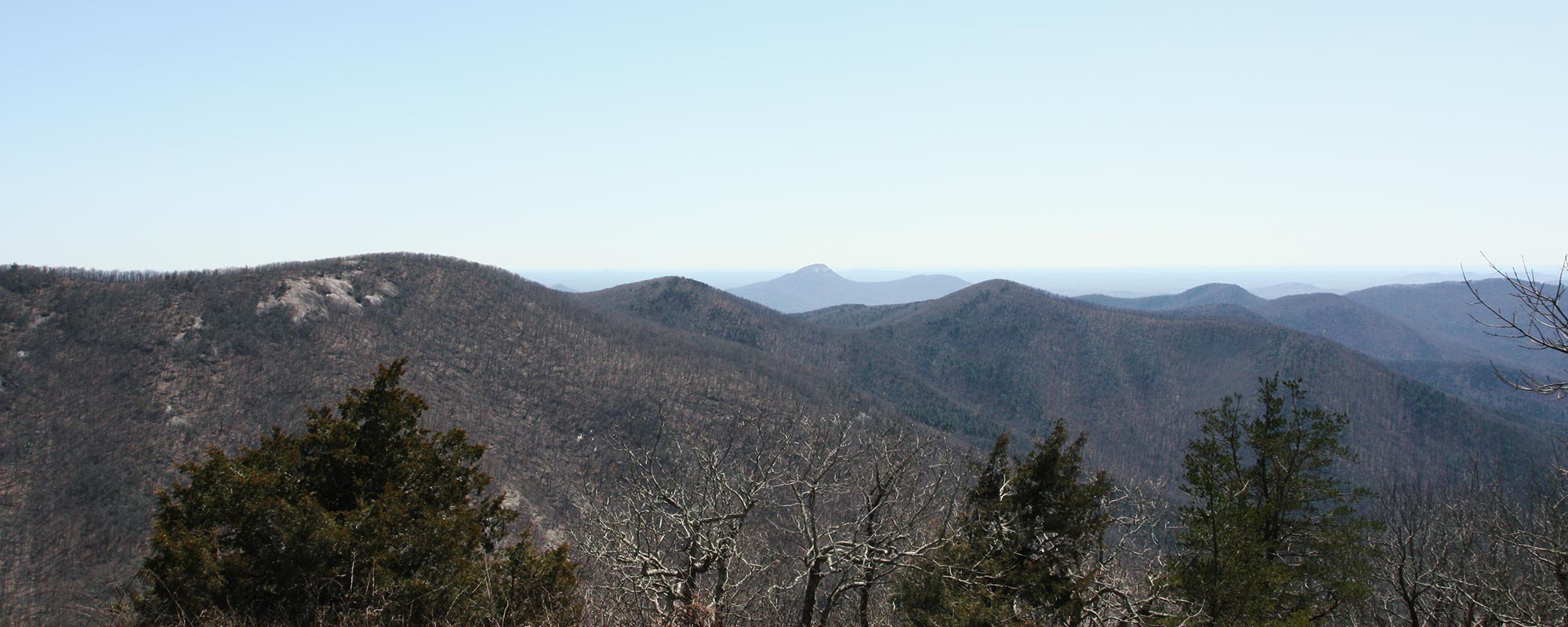 Cowrock Mountain Via Tesnatee Gap | HikeTheSouth