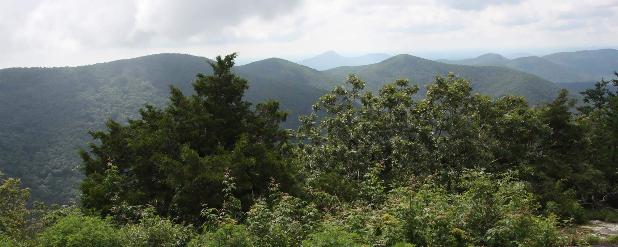 Cowrock Mountain Via Hogpen Gap | HikeTheSouth