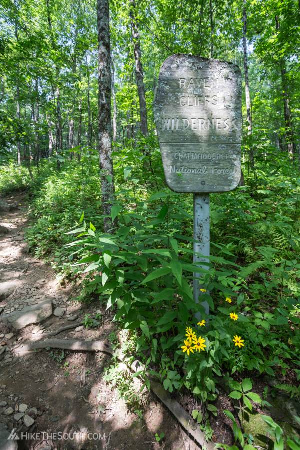 Cowrock Mountain via Tesnatee Gap. 
You'll quickly pass signs for the Raven Cliff Wilderness and the mileage to Neels Gap as you head south along the Appalachian Trail.