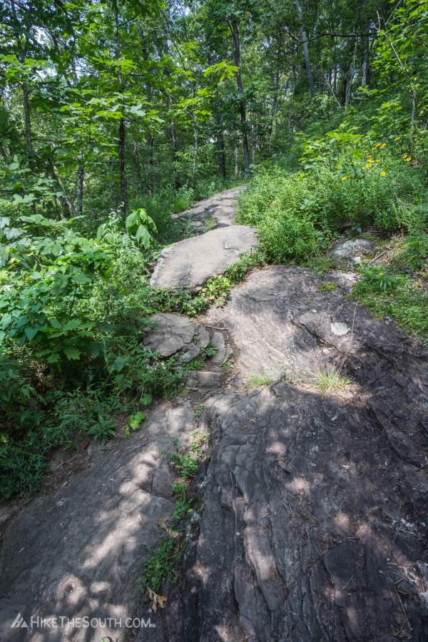 Cowrock Mountain via Tesnatee Gap. 
Some sections of trail are bare rock. Be careful if wet.