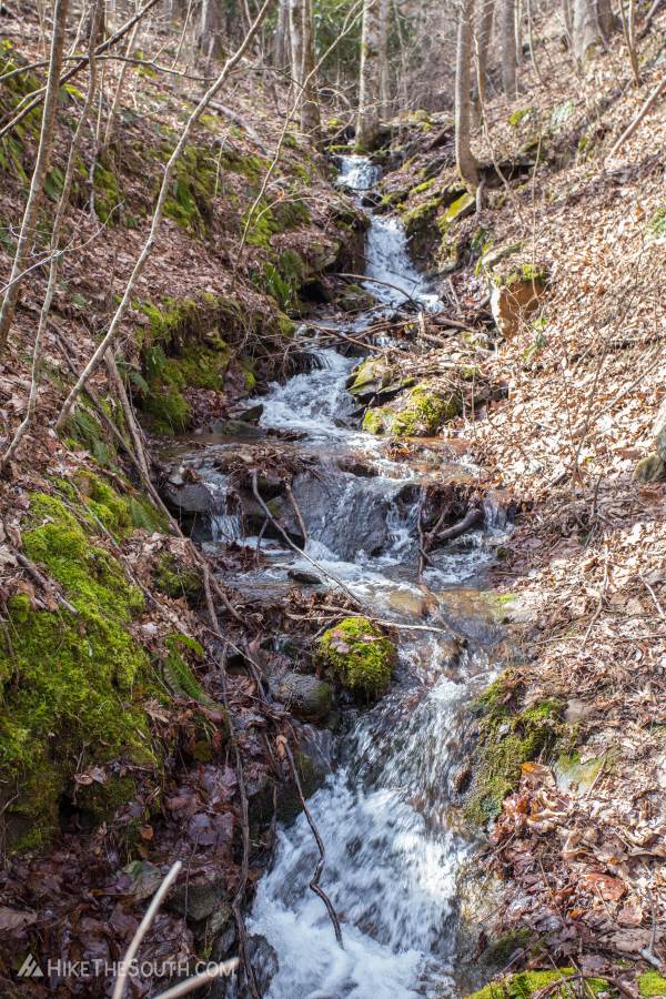Flat Creek Loop. 
Plenty of the small creeks you'll cross have pretty cascades and small waterfalls.