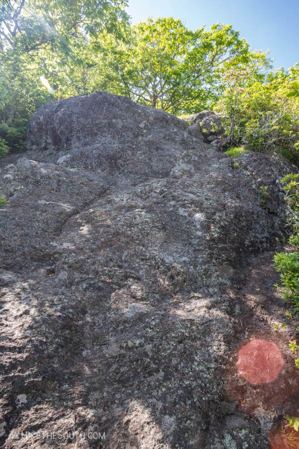 Hawkbill Rock via Craggy Gardens Picnic Area. 
Climb up an almost vertical rock face. It's not too hard.