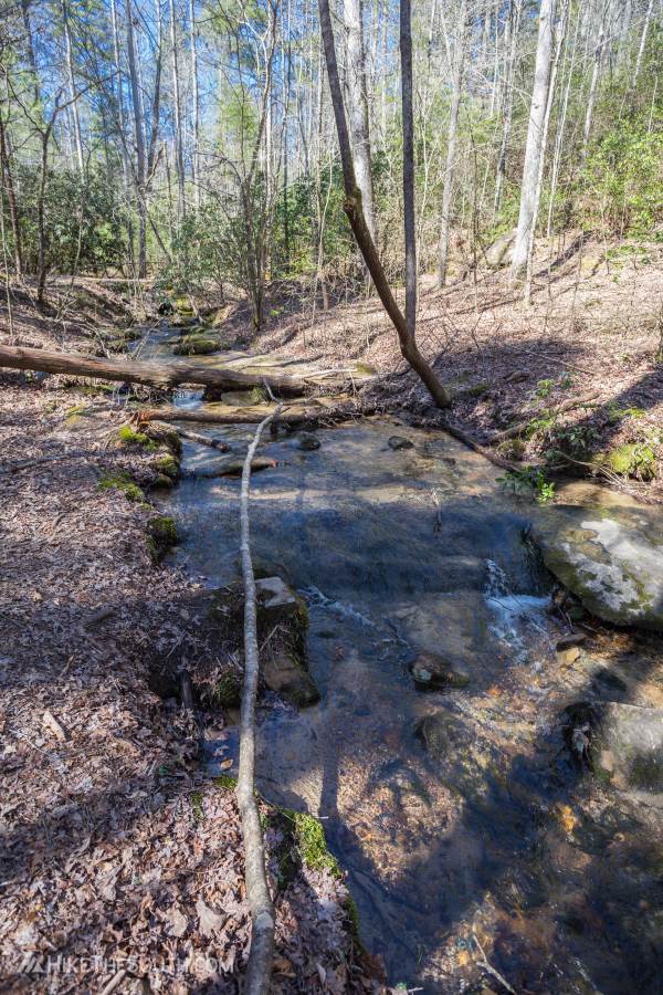 Long Branch Loop. 
Exploring the creek.