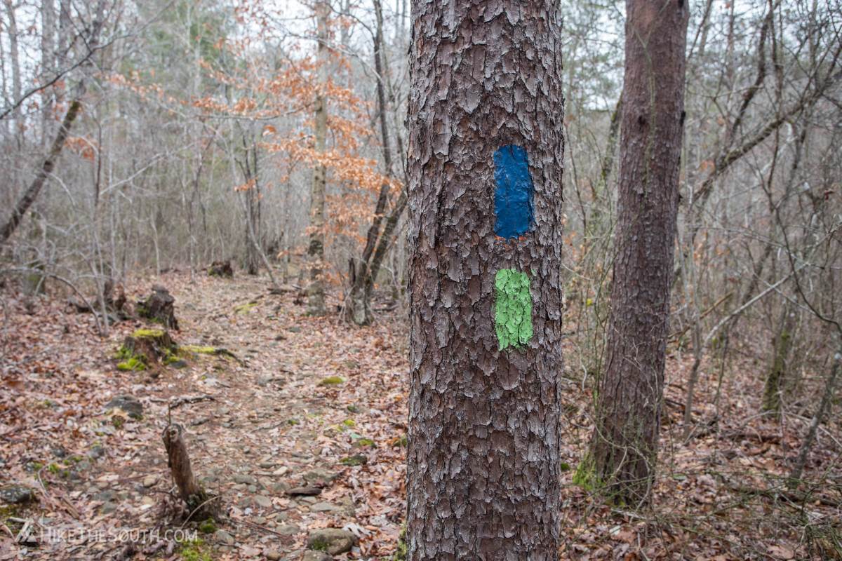 Miller Trek. 
The trail shares the beginning and end with the blue blazed Keys Branch Loop. Follow the green blazes.