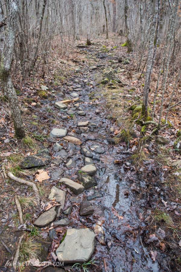 Miller Trek. 
This isn't a stream, it's the trail. The rocks keep you out of the mud through this short section.