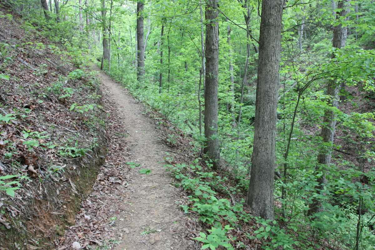 Pine Log Creek Trail System HikeTheSouth