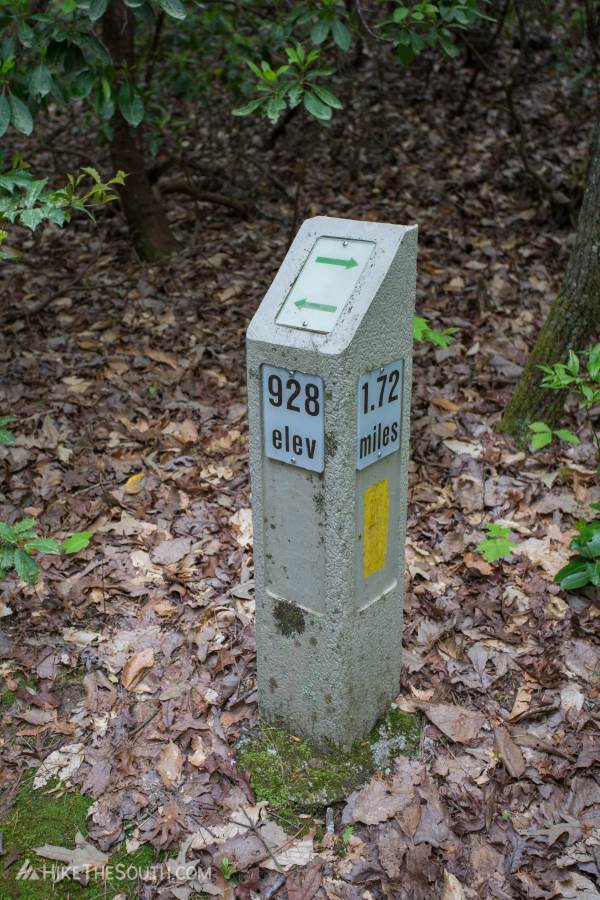 Pine Mountain East Loop. 
A few elevation and mileage markers confirm your direction along the trail.