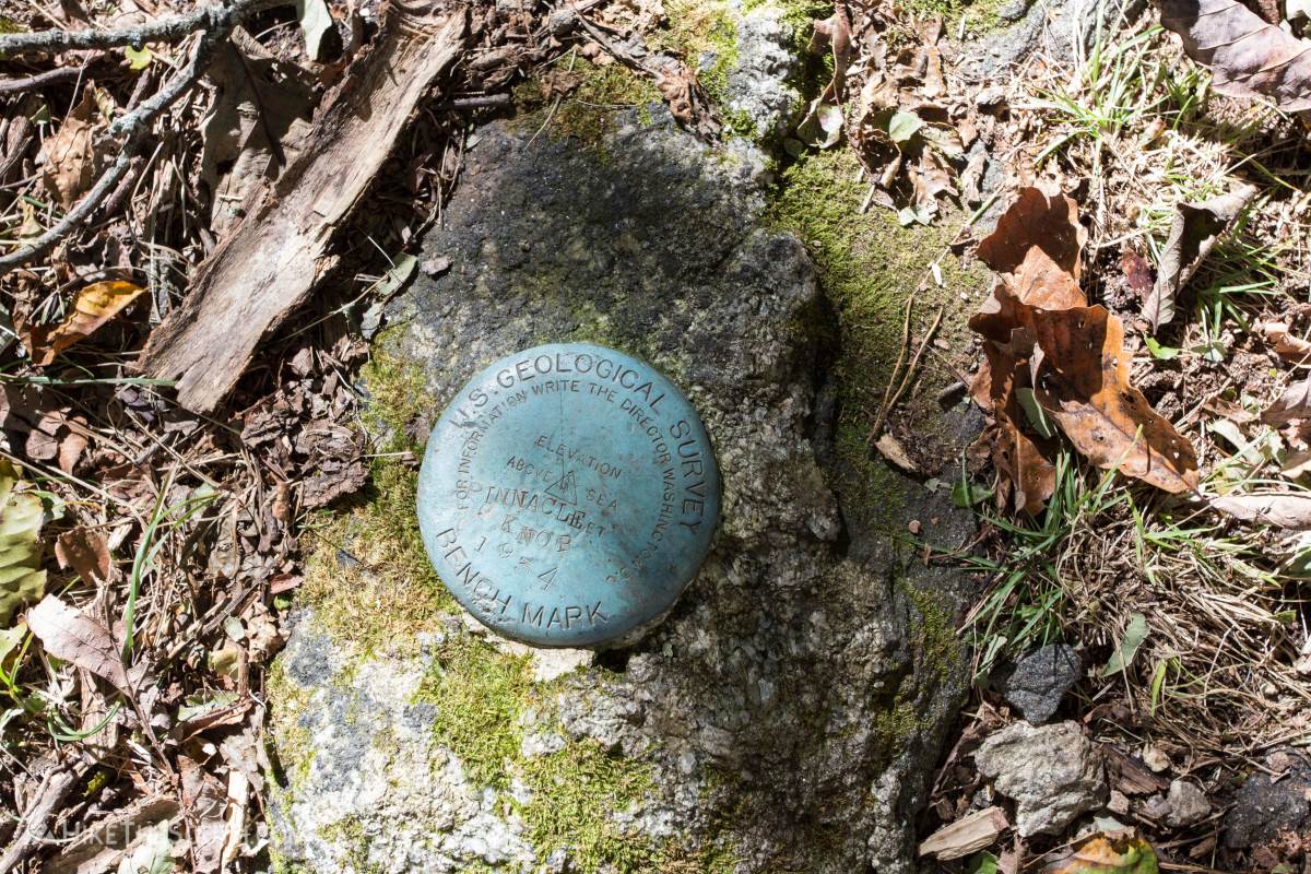 Pinnacle Knob via Courthouse Gap. 
Geological survey marker at the summit behind the view.