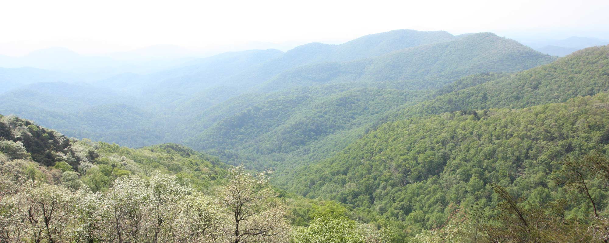 View Preachers Rock Trail Ga Gif