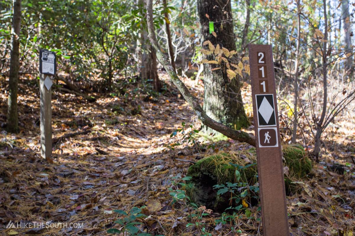 Rabun Bald Trail. 
Look for the #211 trail marker.