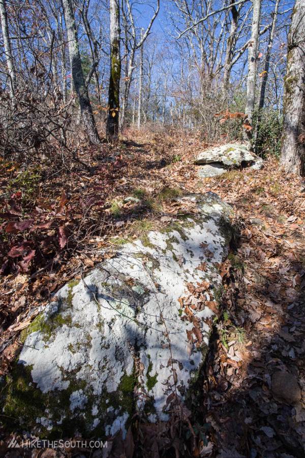 Rabun Bald Trail. 
The trail becomes rockier near the summit.