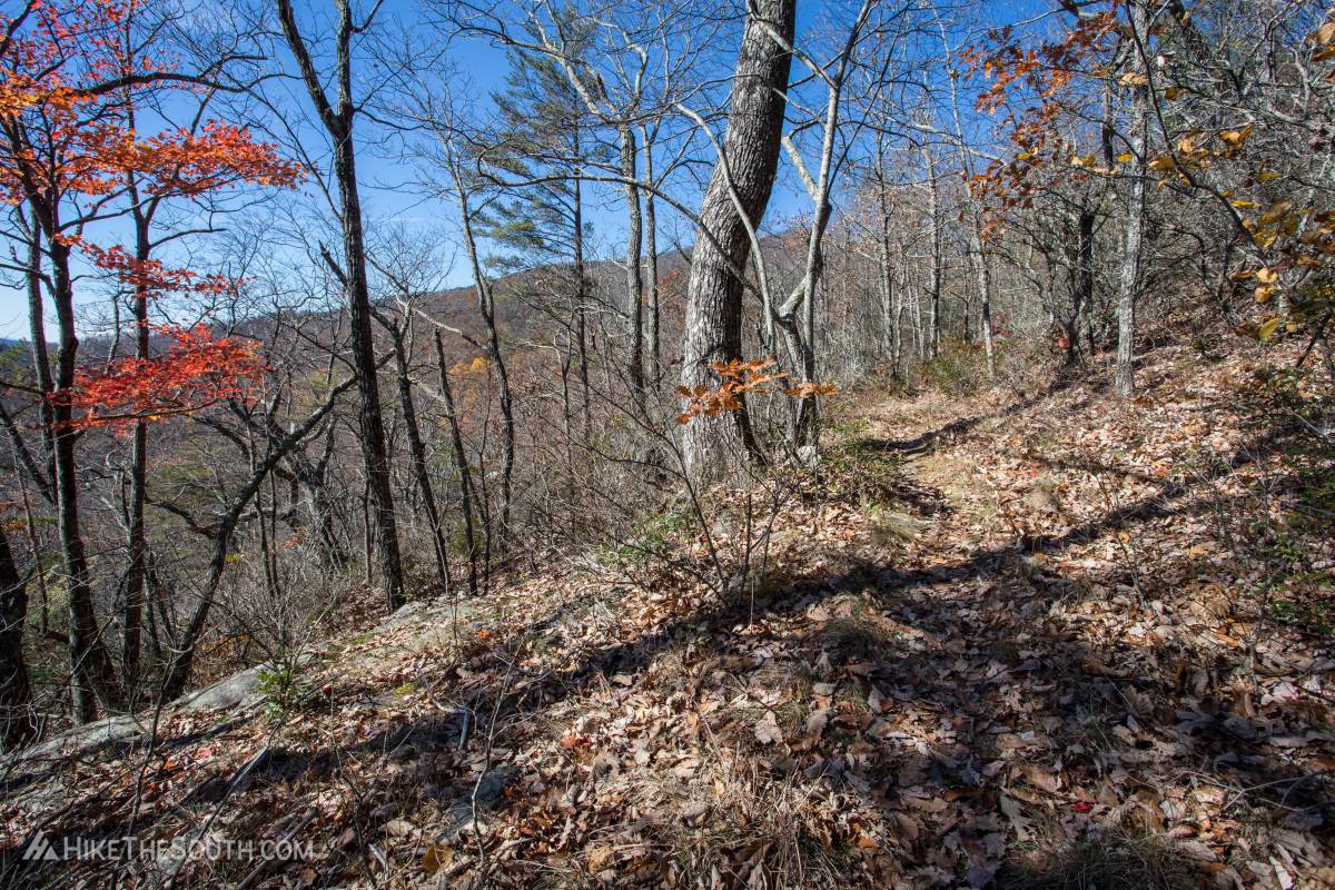 Rabun Bald Trail. 
A few views along the way up through the trees in cooler months.