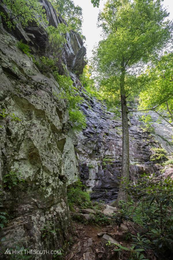 Raven Cliff Falls Loop. 
The Cathedral rock face along the Naturaland Trust Trail below the falls.
