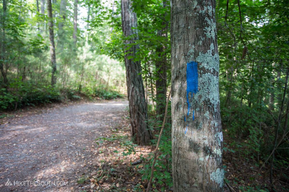 Red Top Mountain Iron Hill Loop. 
Blue blazes mark the path.