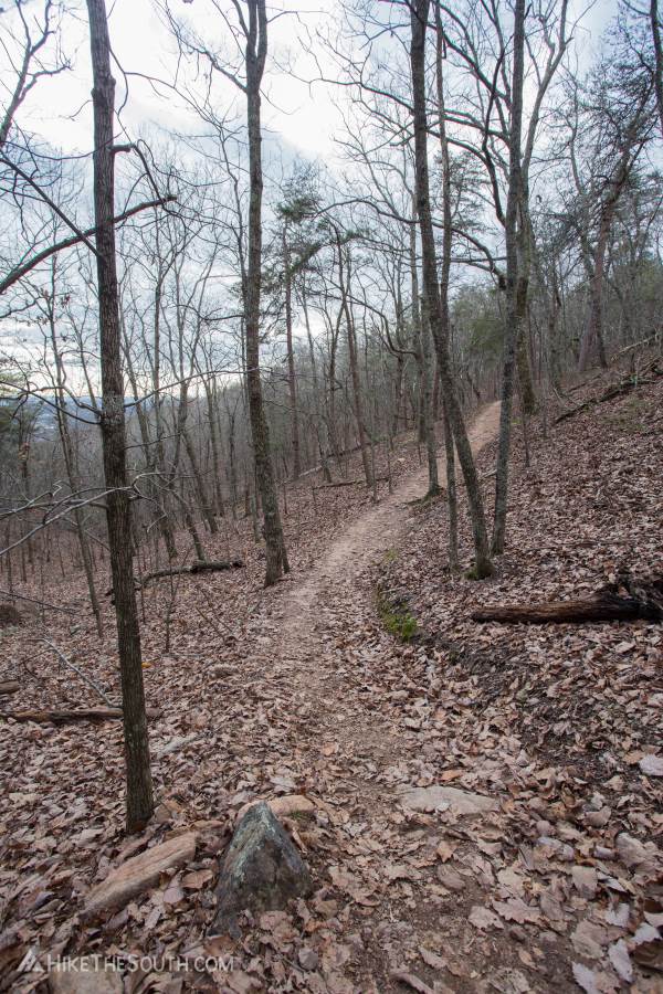 Sawnee Mountainside Trail System. 
Catch a few views through the trees in winter.
