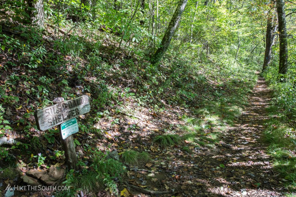 Pass the Siler Bald Shelter side trail. You're almost at the top now.