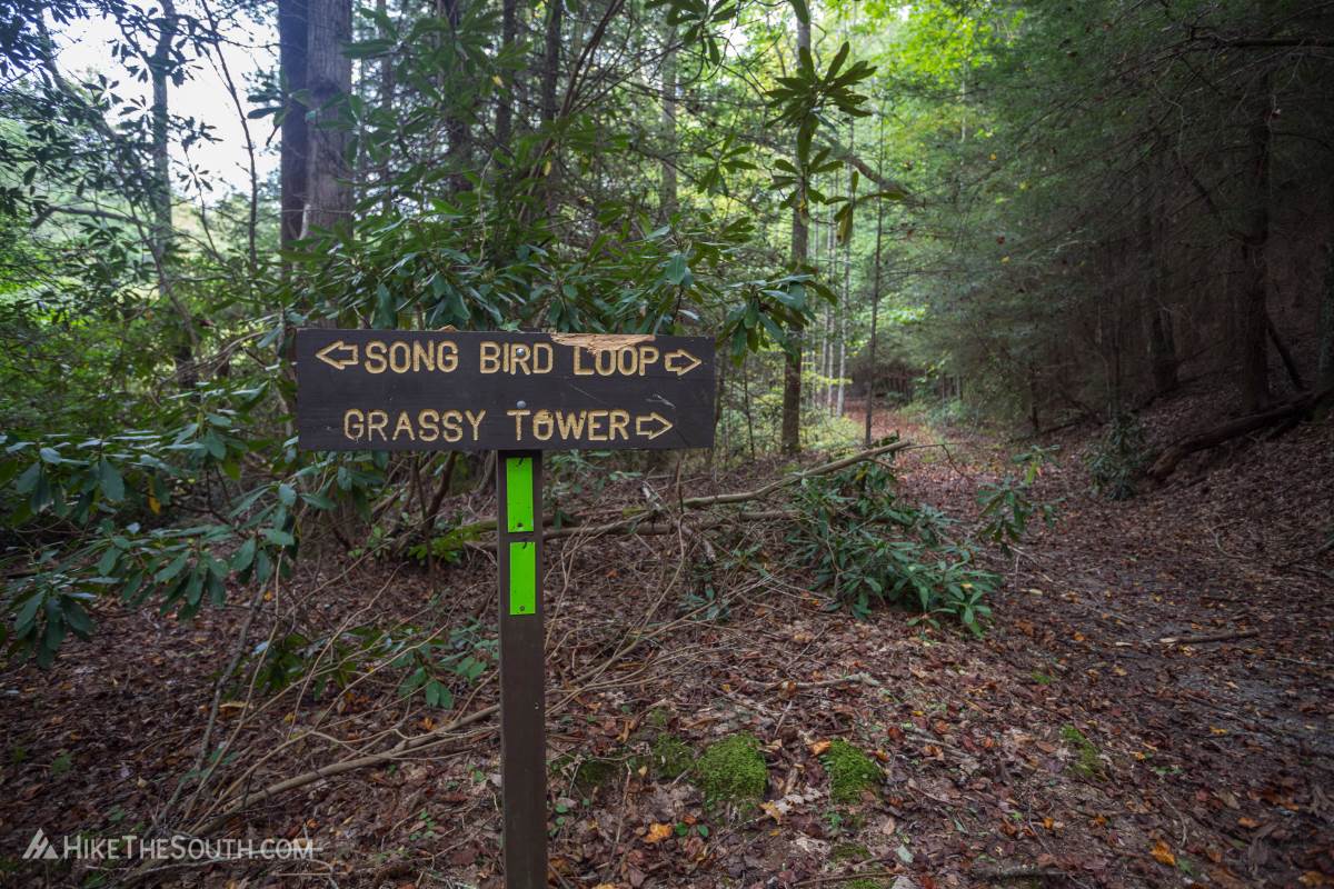 Songbird Trail. 
Loop section of this hike split. You can go either way.