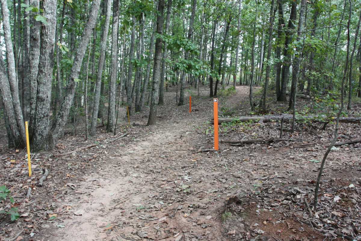 You can see the start and end of the Orange Trail which forms a loop like an odd growth on the back of the Yellow Trail.