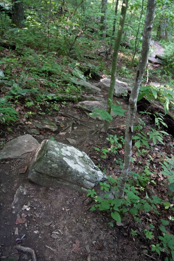 Tennessee Rock Trail. 
The trail is a bit rocky in places but not too bad.