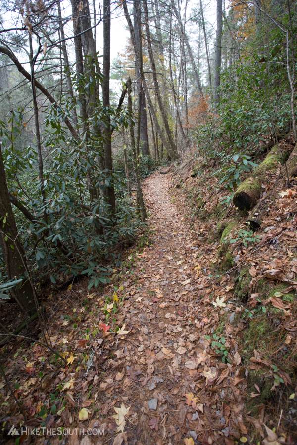 Turtletown Creek Falls. 
The path narrows along the steep hillside.
