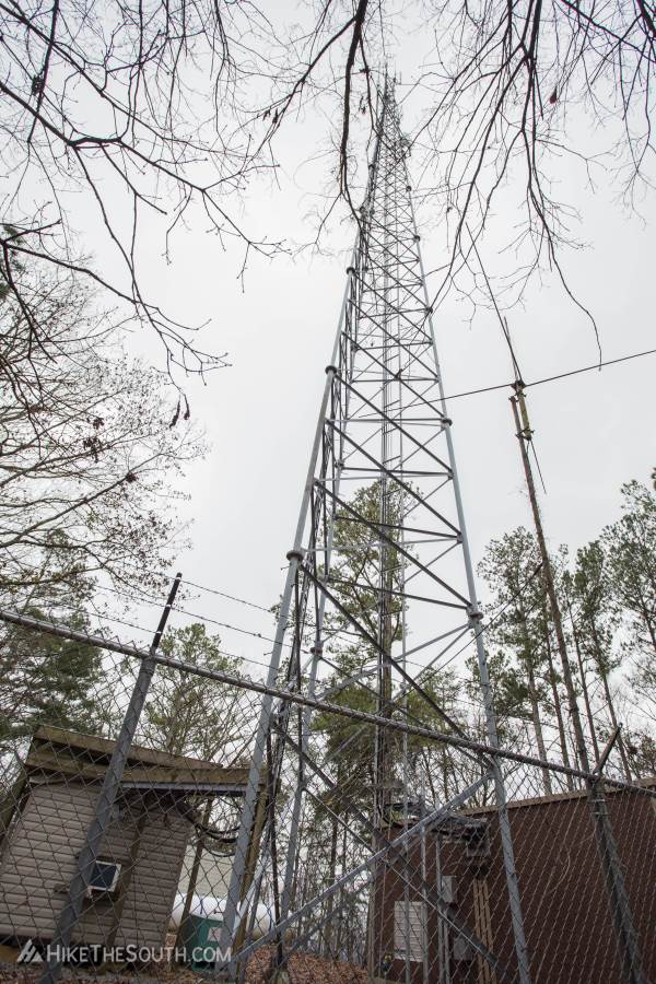 Vineyard Mountain Eagle Scout Trails. 
Larger communication tower at the summit of Vineyard Mountain.