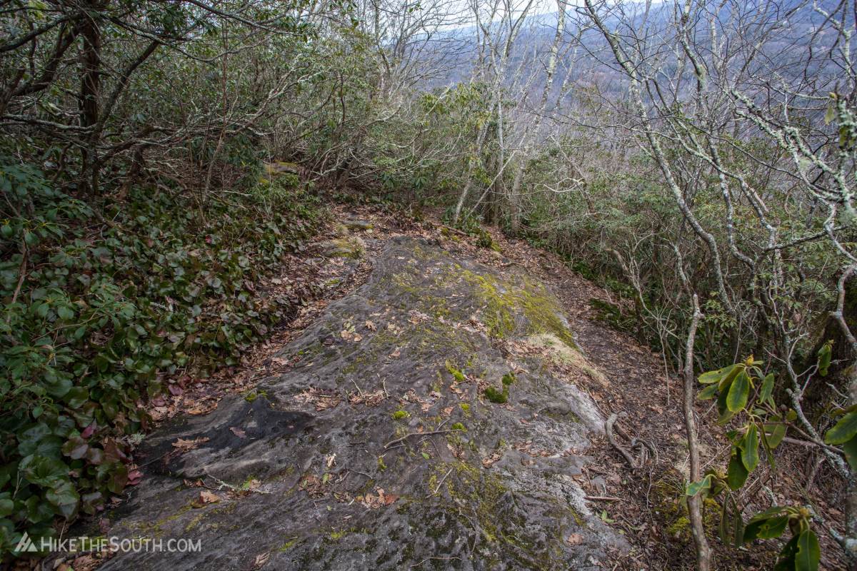 Whiteside Mountain and Devil's Courthouse. 
At the beginning of the trail to Devil's Courthouse, the trail looks like it heads down a slanted rock to the right, but stay on top of the rock to the left.