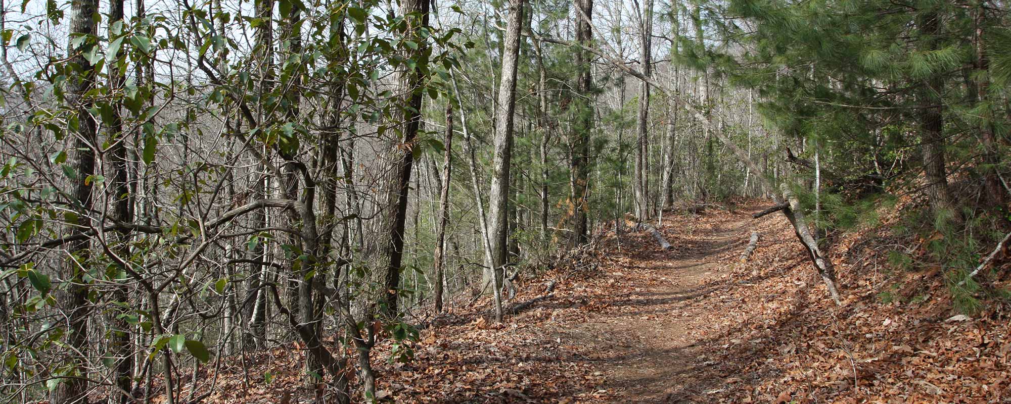 Winding Stairs HikeTheSouth