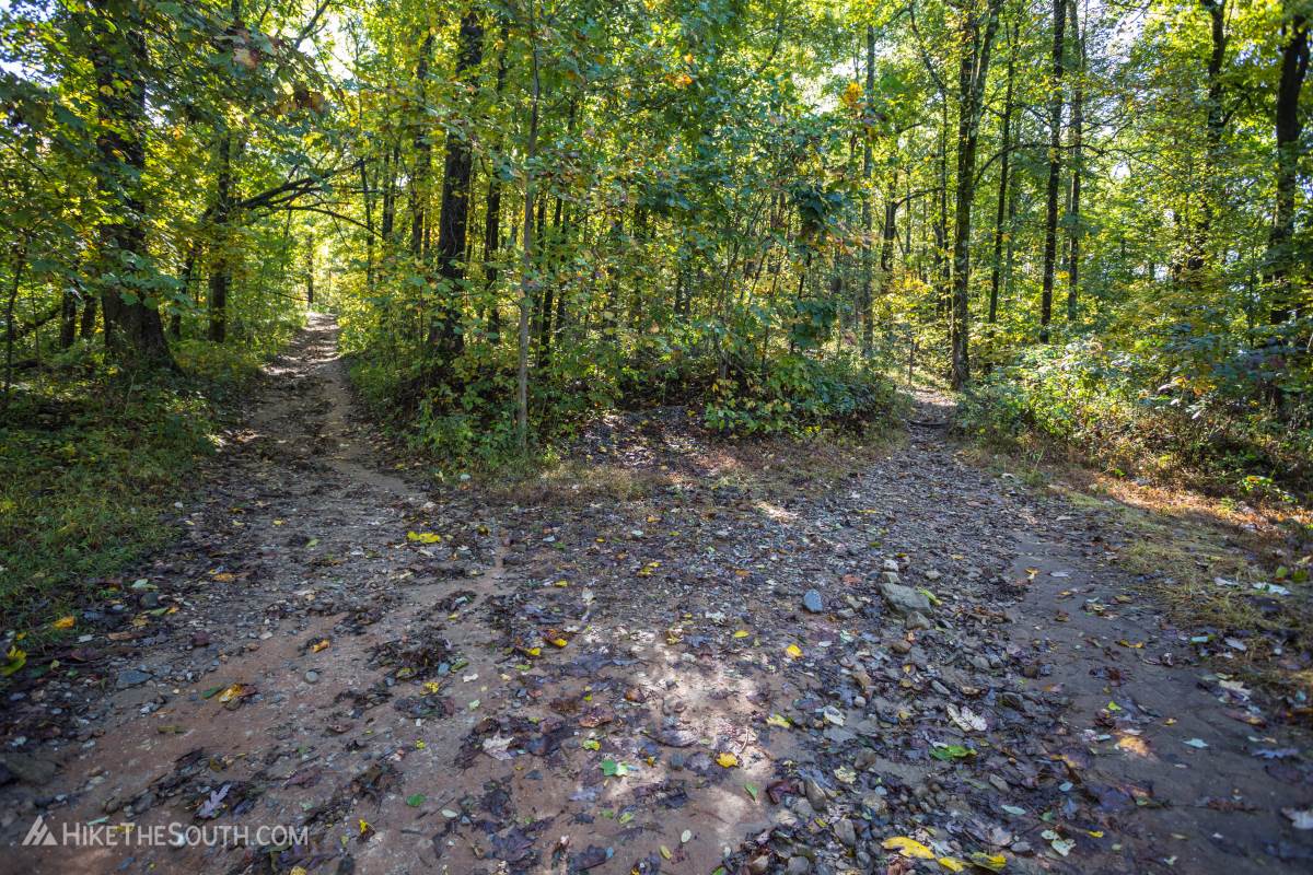 Yonah Mountain. 
At the Army training area, turn right. Two trails split. The slightly wider gravel road goes left and is the suggested route. Or take the right trail to go straight up. If going right, there is a side trail on the right immediately after. Stay straight here.